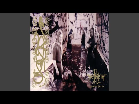 Yersinia Pestis video thumbnail