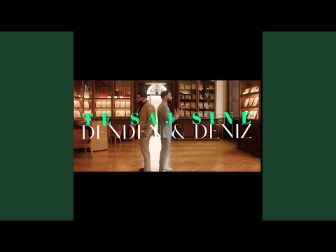 Te Saj Sine (feat. Deniz)