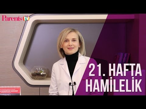 Parents TV - 21. Hafta Hamilelik