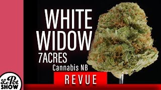 revue cannabis : White Widow / 7ACRES - #CannabisNB #SQDC