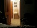 The Attic