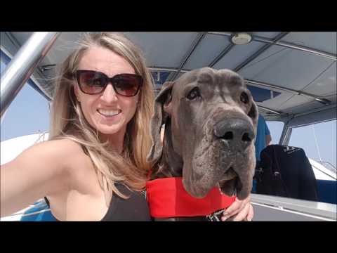 S1Ep 4 Let's Sail -  Evia Channel / Greece (19 - 27.10.2018)