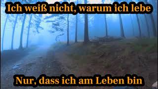 Blumfeld - Graue Wolken TEXT