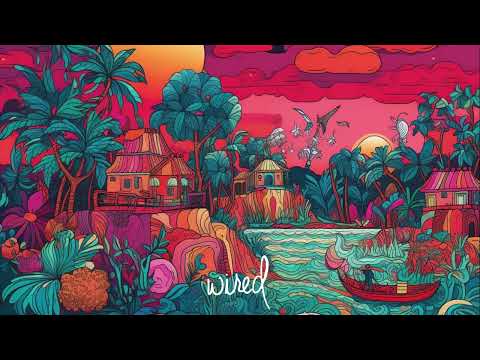 Tomi H feat. Mariam Zawose - Mambo Bado (Original Mix) [Wired World]