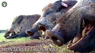 Monteria El Rosalejo