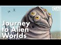 The Teeming Universe Alien Biology
