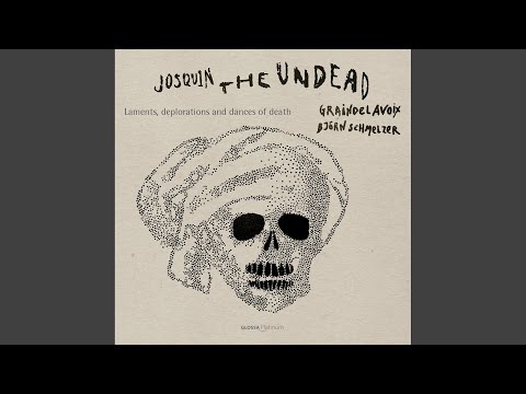 N'est-ce pas un grand desplaisir, NJE 29.17