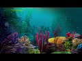 Walt Disney Resort The Seas With Nemo Friends