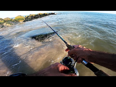 Summer Beach Surf Fluking - KEEPER FLUKE - Fishing the NYC Ocean Jetties