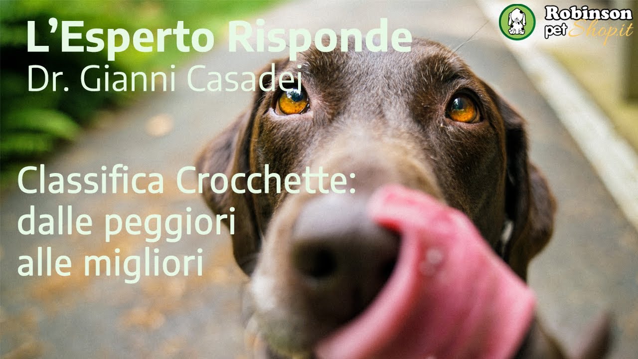 Classifica delle Crocchette: dalle peggiori alle migliori.