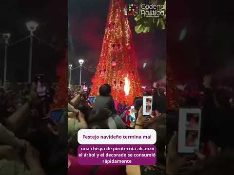 😯✨En San Vicente, Puerto Vallarta, chispa incendia árbol navideño y lo consume