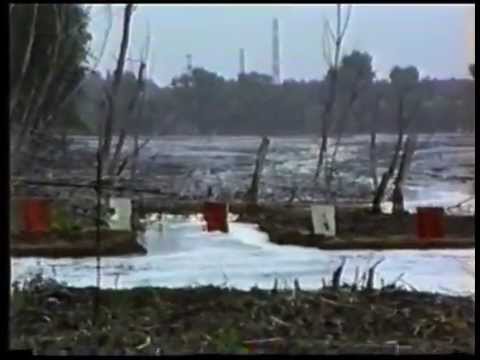 DDR 1988: Peter Wensierski über den Film "Bitteres aus Bitterfeld"