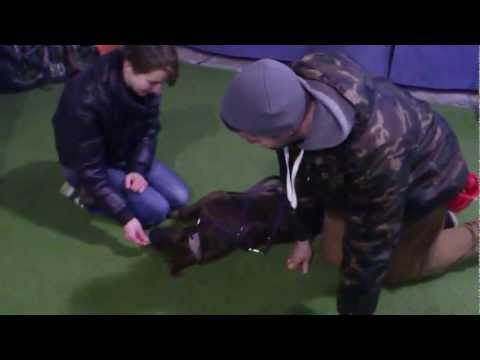 "Zdechł pies" - ćwiczenie wykonywane podczas kursu OBY