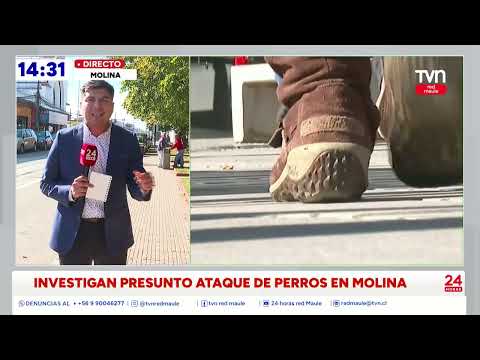 Menor fue encontrado en una zanja con hipotermia y gravemente lesionado | 24 Horas TVN - Red Maule