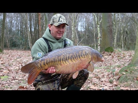 Nigel Sharp's Boosted Hookbaits