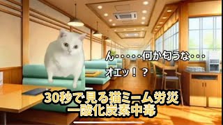 30秒で見るネコミーム労災②一酸化炭素中毒