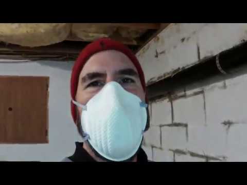 How to get rid of mold in basement | crossxpollination