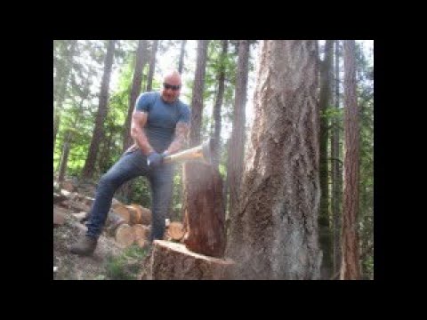 730 VT, 222 Mo, 369 PA, 396 Ohio, UDX 95NC, 708, 505,501 076, 36 Cal,UDX 347 TN, 533 Minn, 320 AZ