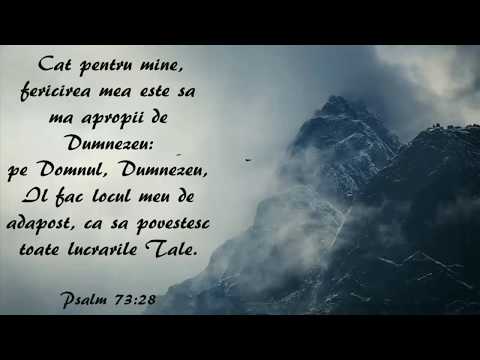 12/31/2017 - Duminica Seara