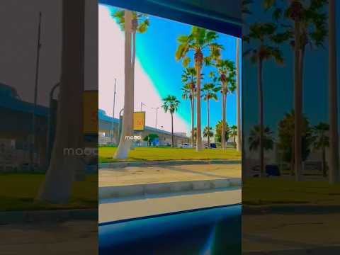 The way of the tears #thewayofthetears #nasheed #subscribe #viralvideo #shorts #trending #fyp #beach