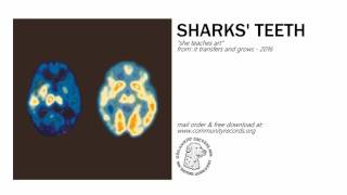 Sharks' Teeth - "She Teaches Art"