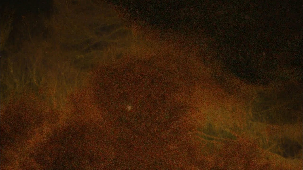 Closer (for David Bowie, 2016)