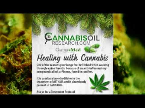 Cannabis oil as a natural broncodilator! (Living Healthy with COPD)