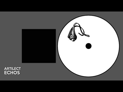 Artilect - Echos