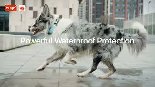 🦮 Smarter pet care starts from understanding them better!
