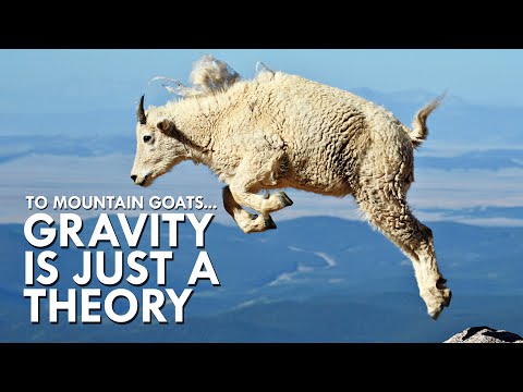 Mountain Goats Don’t Believe In Gravity