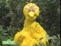 Sesame Street Big Bird Wants To Whistle