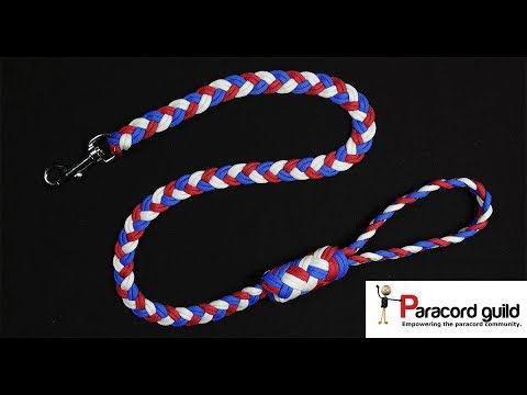 Flat braided paracord dog leash
