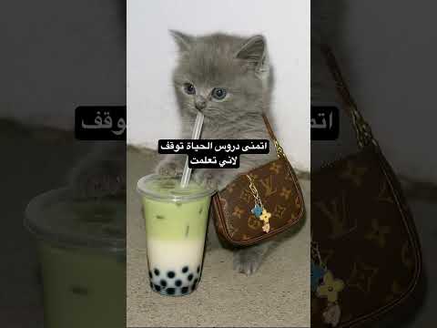 ٣ يونيو، ٢٠٢٥