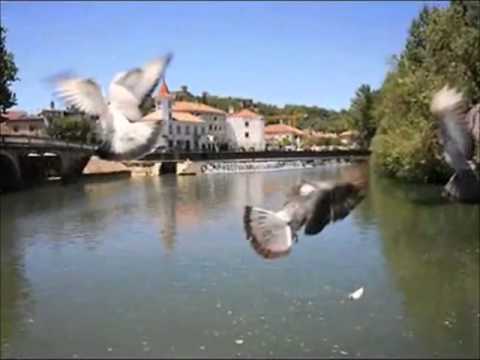 Turismo de Habitação, Jto a Tomar, Castelo do Bode...