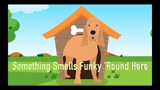 "Something Smells Funky 'Round Here" by Elvin Bishop's Big Fun Trio