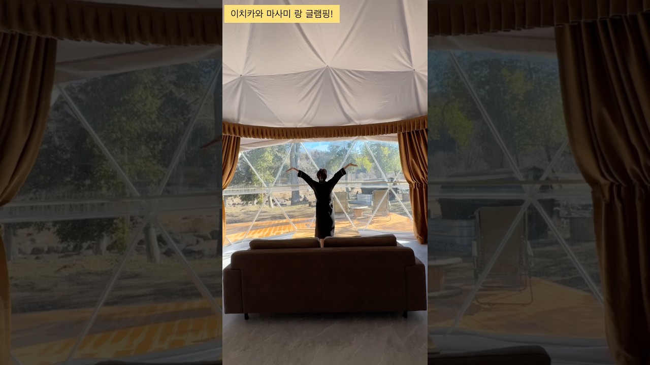 미히로는 귀부인인가?! #일본여자 #브이로그 #유튜버 #mihiro