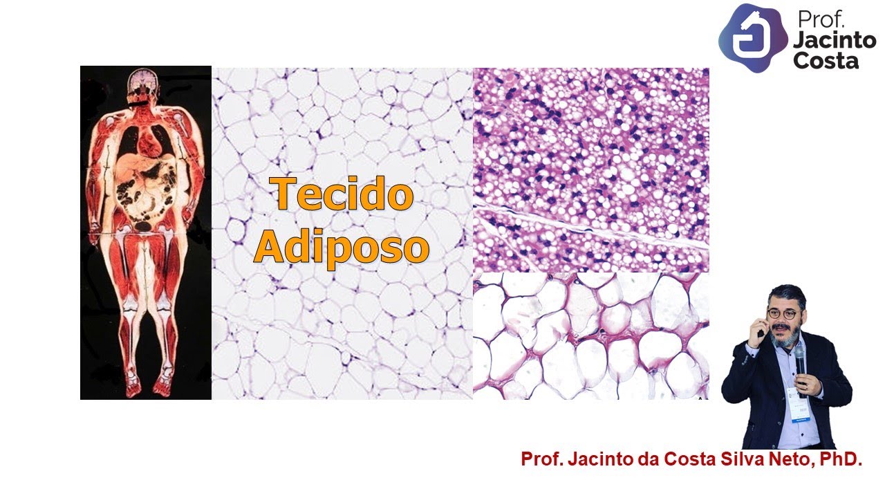 11-Tecido Adiposo - Nível Graduação