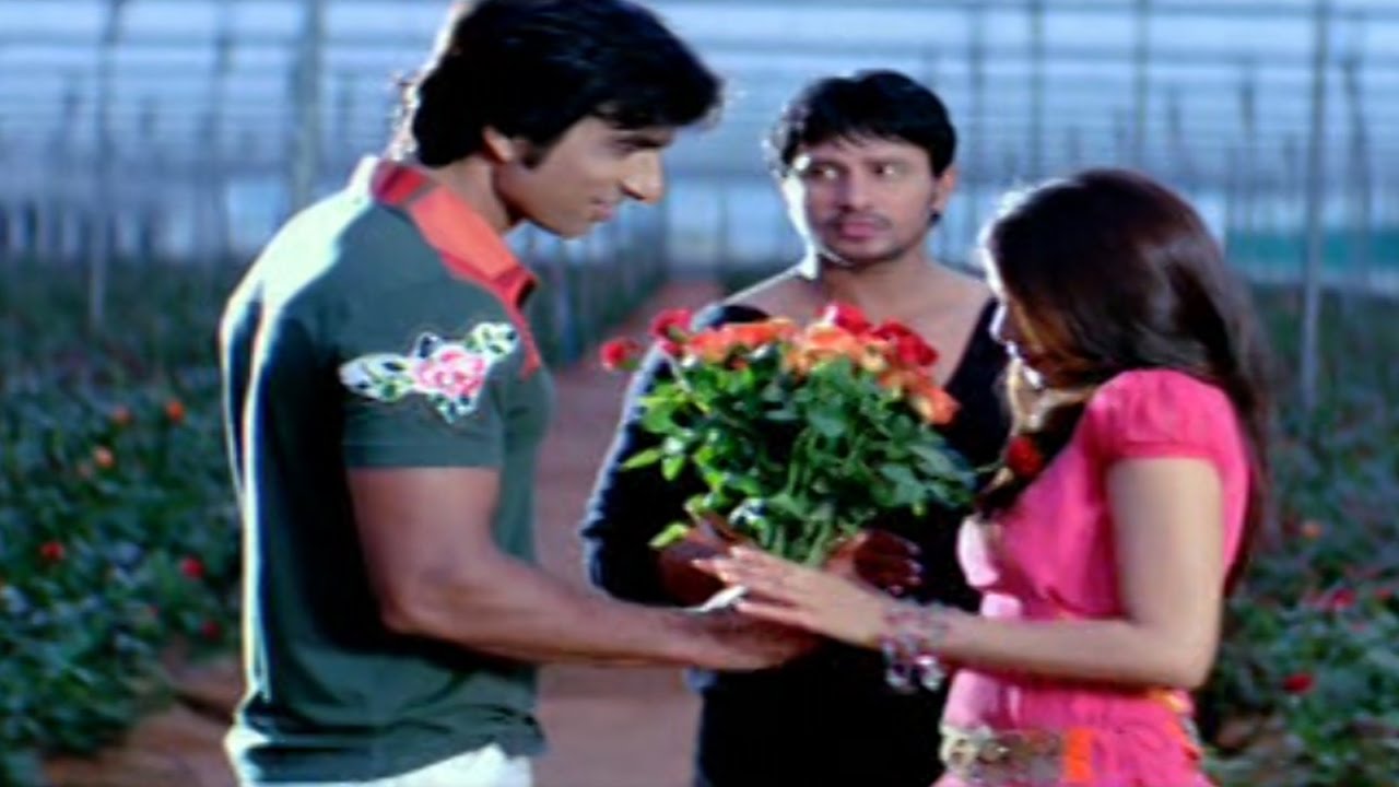 Oh Maguva Lyrics  | Mister Medhavi | Genelia, Raja | Chakri