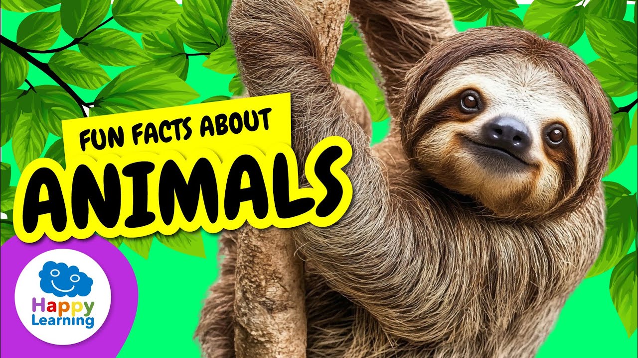 🐾✨ Most Amazing ANIMAL FACTS | Educational Videos for Children | @HappyLearningENG