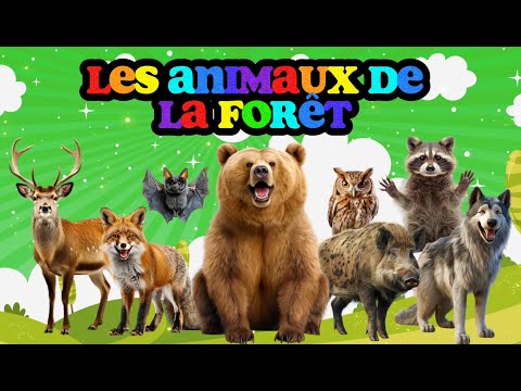 Les ANIMAUX DE LA FORÊT et leurs CRIS  | LUDOKIDS