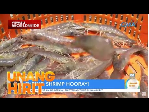 Shrimp, shrimp hooray! Unang Hirit