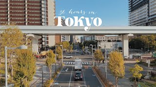 🇯🇵TOKYO! muji hotel, itoya & the best udon
