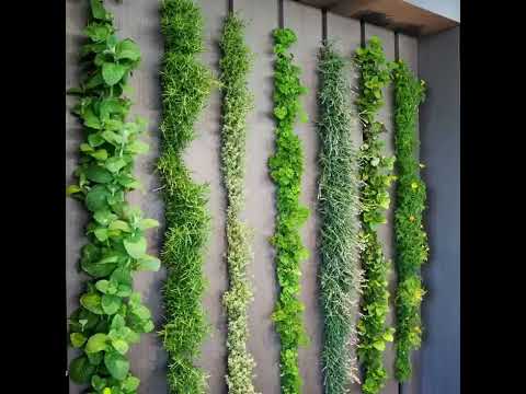 自分で作る垂直バルコニーガーデン - アイデア、ヒント、コツ、写真  庭園