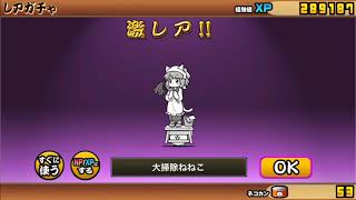 にゃんこ大戦争11連引いた！