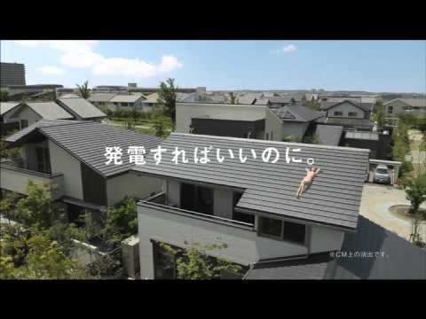 IDEX日光浴編