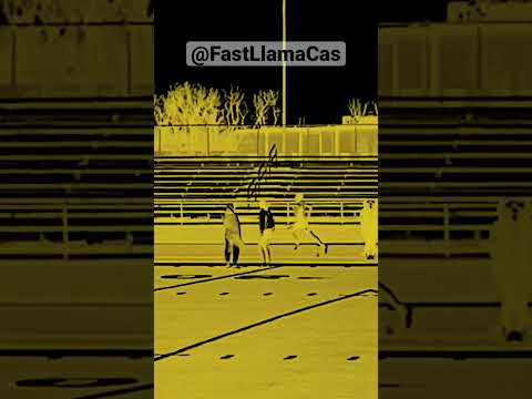 🌬️ Blown away! SF O’Gorman Medley 3:39.77 #goknights #trackandfield @FastLlamaCas