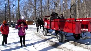 preview picture of video 'La cabane à sucre'