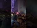 A large section of the roof of the Apollo Theatre in Belvidere, Illinois has just collapsed