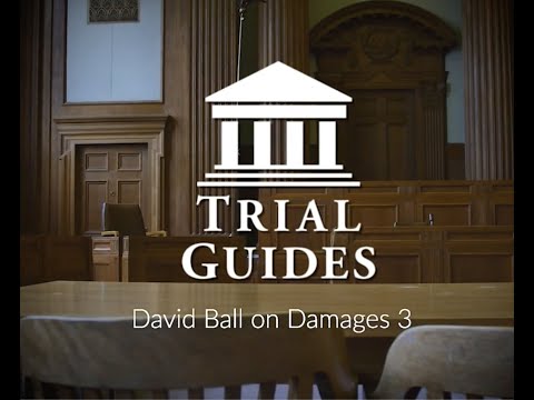 Damages 3 by David Ball | Trial Guides