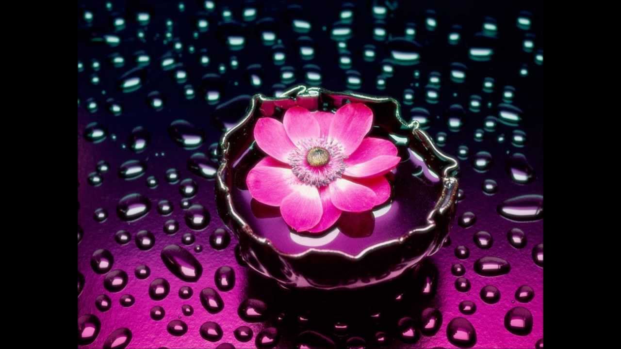 Aja Re Piya Lyrics | Naina Lagai Ke (Album) | Shujaat Khan, Asha Bhosle